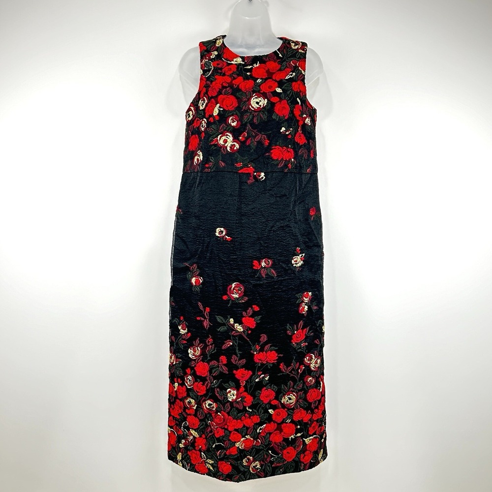 Ann Mashburn Dress Womens S Rose Wool Silk Maxi Fairy Whimsigoth Embroidery
